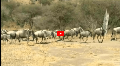 Tanzania reportage dal mondo