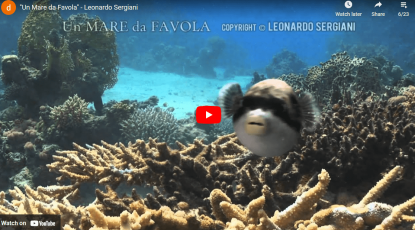 Un Mare da Favola - Leonardo Sergiani