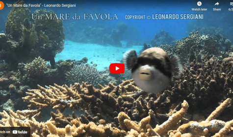 Un Mare da Favola - Leonardo Sergiani